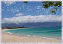 pretty beach scene