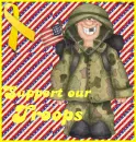 support our troops