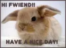 hi fwiend