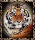 tiger with hello