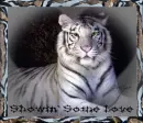 showin some love tiger