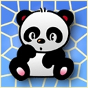 Cute Panda