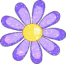 purple daisy flower