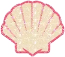 seashell