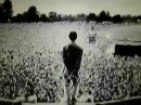 crowd