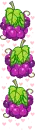 grapes