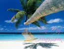 Tropical Getaway- On My Honeymoon