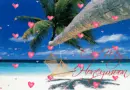 Tropical Getaway (with floating hearts)- On My Honeymoon