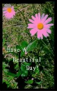 Have A Beautiful Day