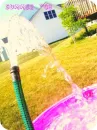 summer