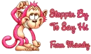 pink monkey mandy