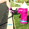 Shoe