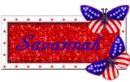 Savannah 4th of July