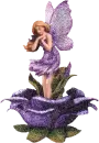 Glittering Purple Fairy on Rose