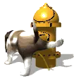 basset hound