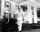 elvis