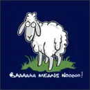 sheep