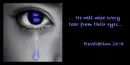 Tear
