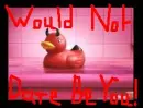would not dare
