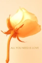 All you need is Love...