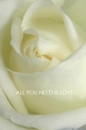 All you need is Love...