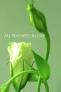 All you need is Love...