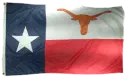 Texas Longhorns Flag