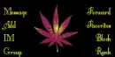 weed