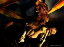 Dragon Crying 