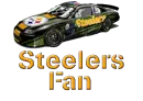 Steelers Fan