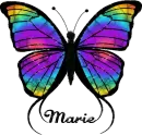 tyedyebutterfly~,Marie