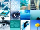 Blue Is Everywhere!