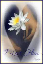 hands holding flower