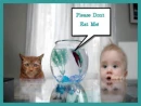 little boy and cat looking at a fish