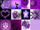A Purple Thing