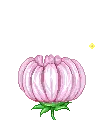Flower Surprise