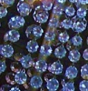 water pebbles