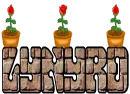 LYNYRD- rose bloom wall