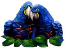 TROPICAL BIRDS