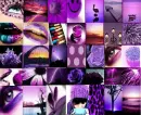 Purple Is Everywhere!
