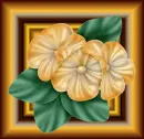 Blooms
