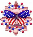 4 th of july