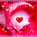 cute love
