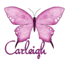 CARLEIGH-butterflymoo6
