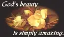 GODS PRETTY