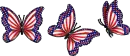 4 th of july