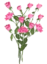 PINK ROSES