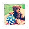 Teddy Bear