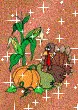 thanksgiving starry