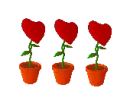 corazones flor